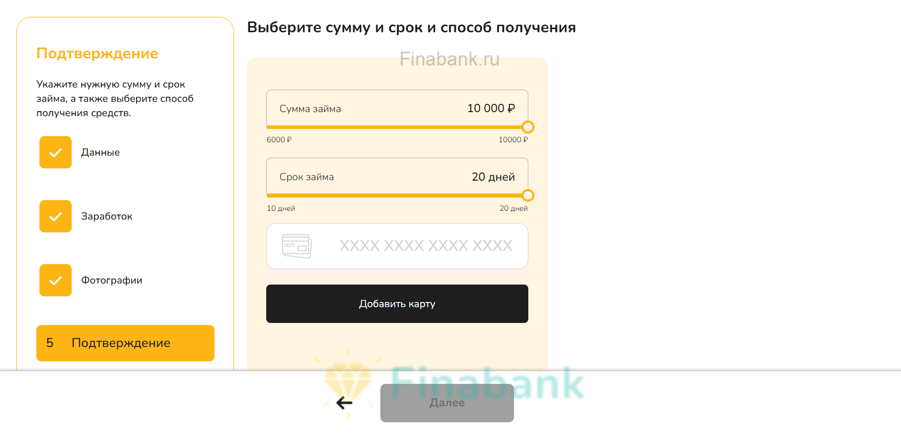 Bunny Money 6